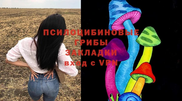 дурь Кодинск