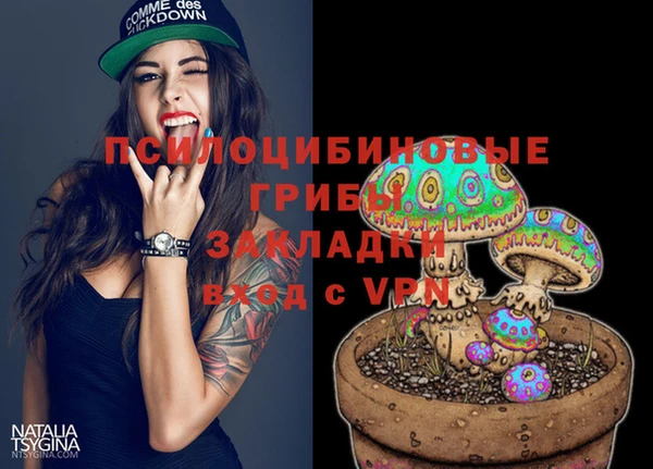 дурь Кодинск