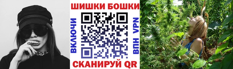 Купить закладки  Куса  Шишки марихуана Amnesia 